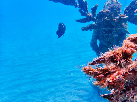 Under SXM-Little Bay必去景点