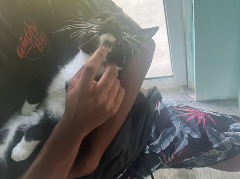 Amphibuzz Dive-Thulusdhoo Island必去景点