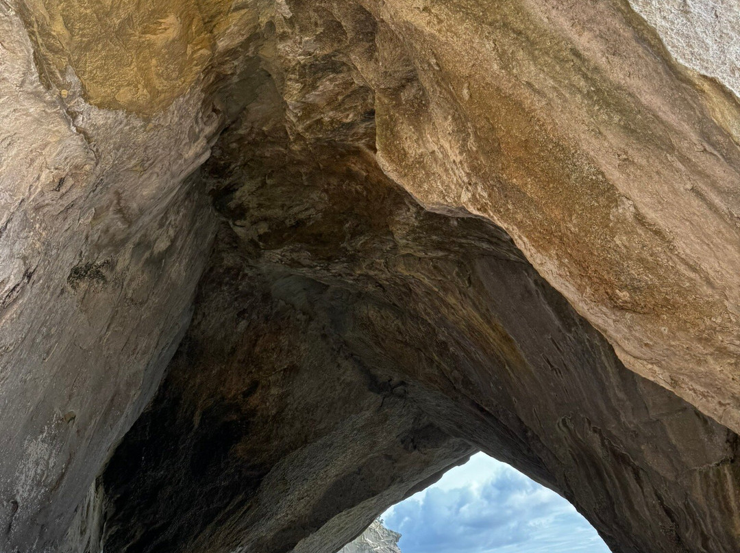 Cheeky Kiwi Travel-奥克兰中心地区必去景点