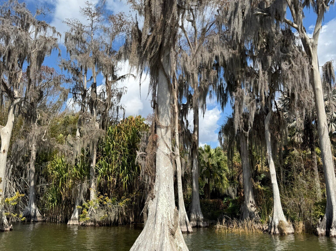 The Living Water Boat Cruises-温特黑文必去景点