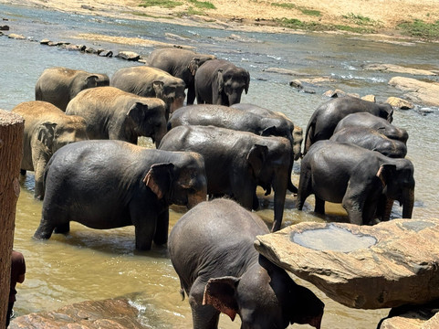 NK Lanka Holiday Tours-卡图纳耶克必去景点