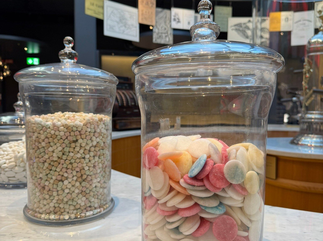 Museo Lavazza-都灵必去景点