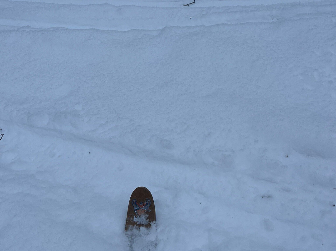 Bliss Adventure-Pyhatunturi必去景点