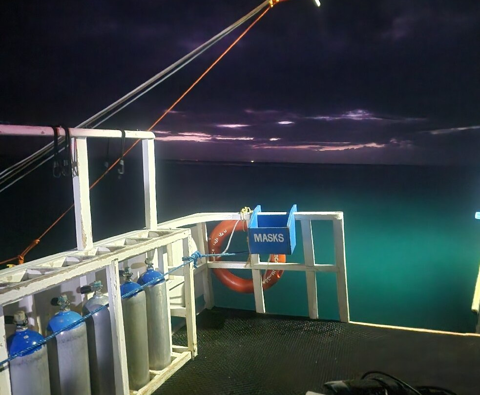 妈妈拍丝瓜岛维达海滩潜水中心-妈妈拍丝瓜岛必去景点