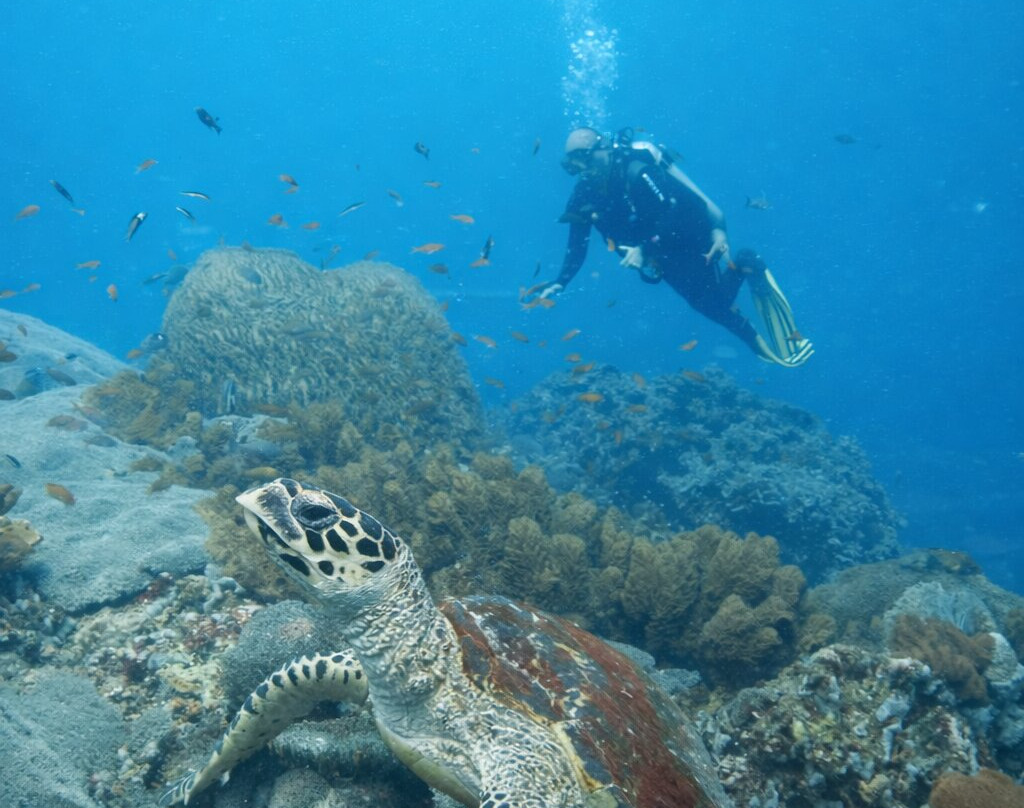 DPM Diving Nusa Penida-珀尼达岛必去景点