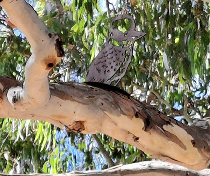 Ess Lagoon Reserve-Casterton必去景点