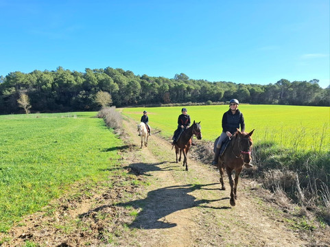 Panorama Trails-Terradelles必去景点