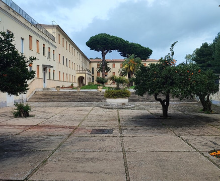 Colle Sant'Alfonso-Torre Del Greco必去景点