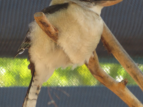 ABQ BioPark Zoo-阿尔伯克基必去景点