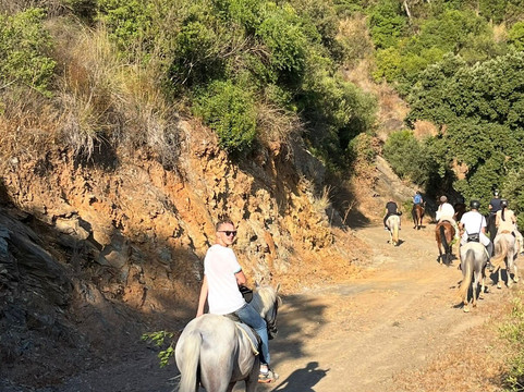 Services d'Or Algérie