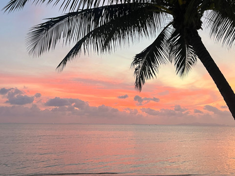 Samaraya Wellness Resort