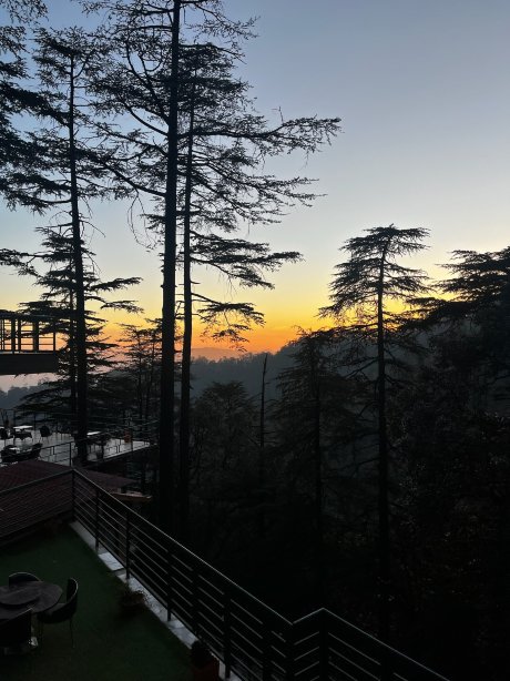 费尔蒙特西姆拉森林绿地-浴室