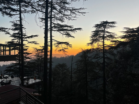 费尔蒙特西姆拉森林绿地主图