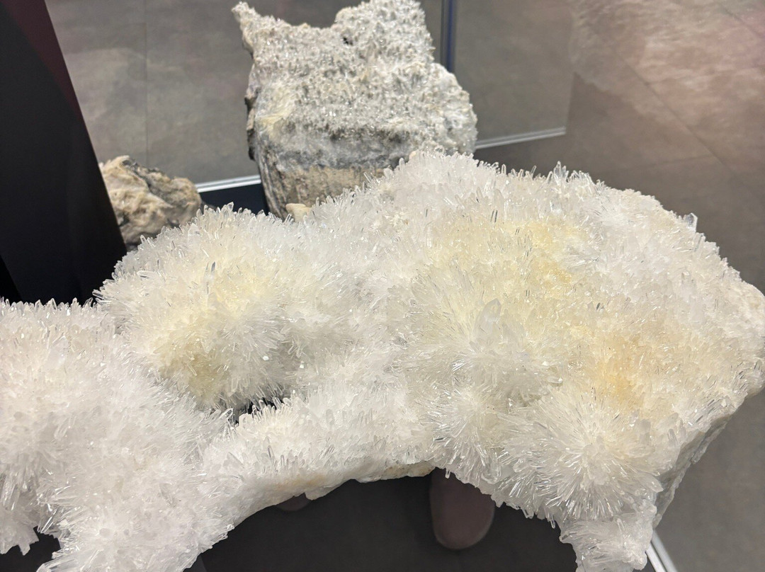 Museo Cantonale di Storia Naturale-卢加诺必去景点