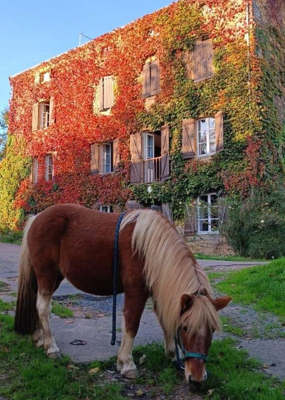 Le Moulin de Vaux