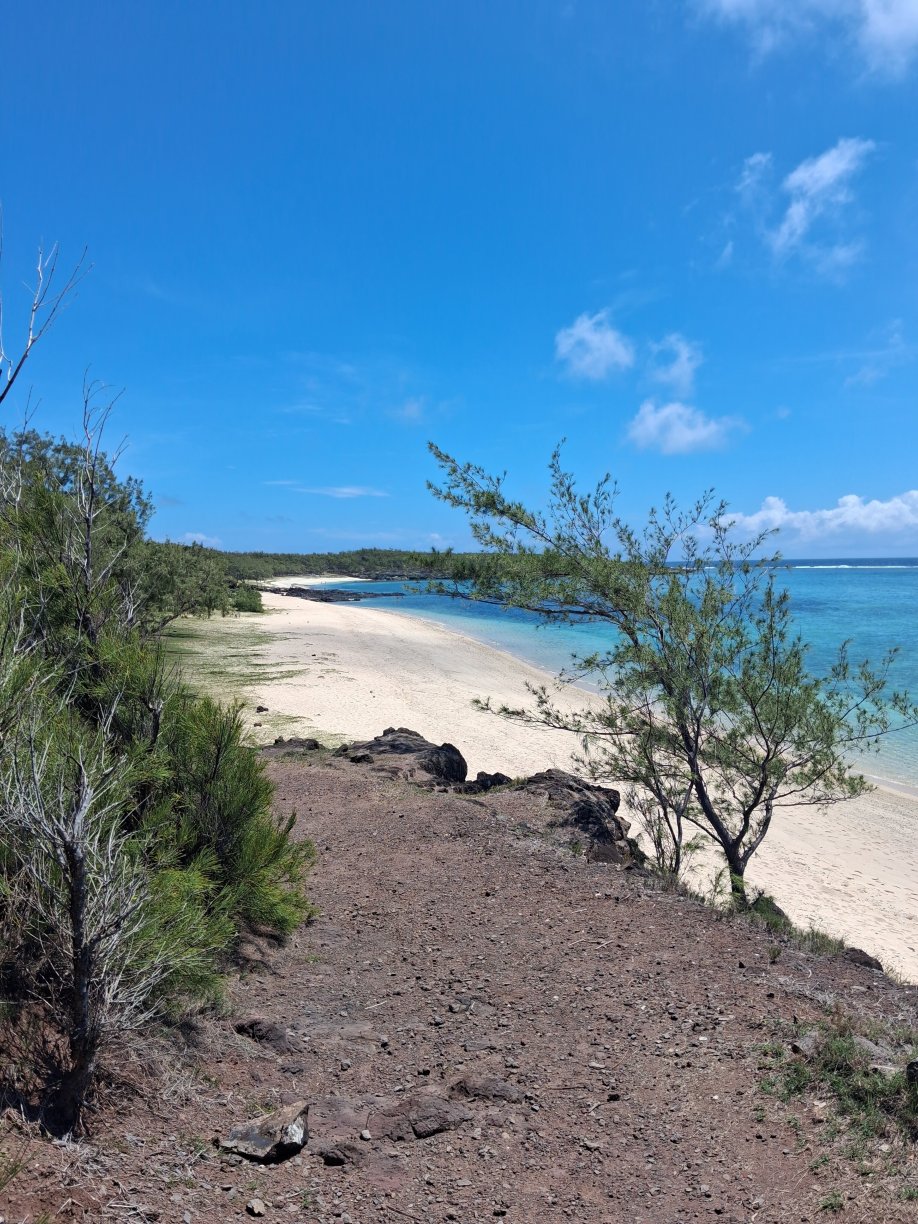 康斯坦斯-Tekoma-泳池