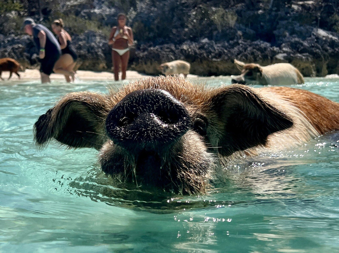 Aquaquest Escapes-George Town必去景点