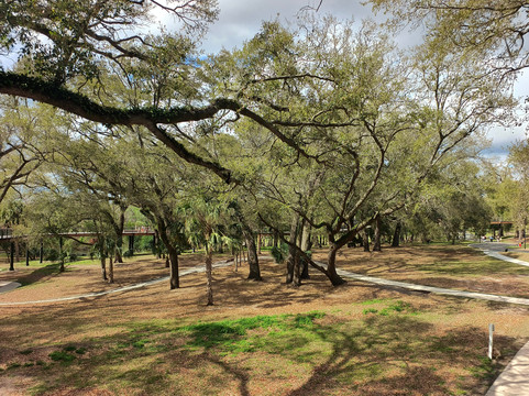 Bonnet Springs Park-莱克兰必去景点