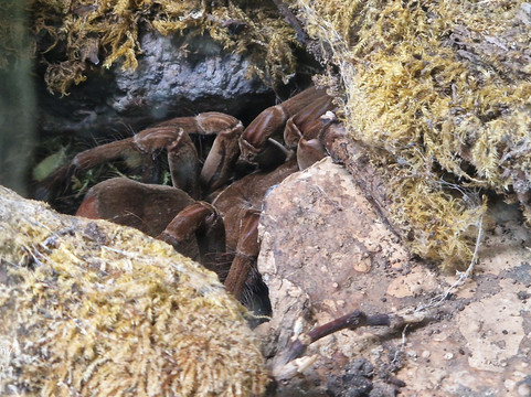 Linton Zoo-Linton必去景点