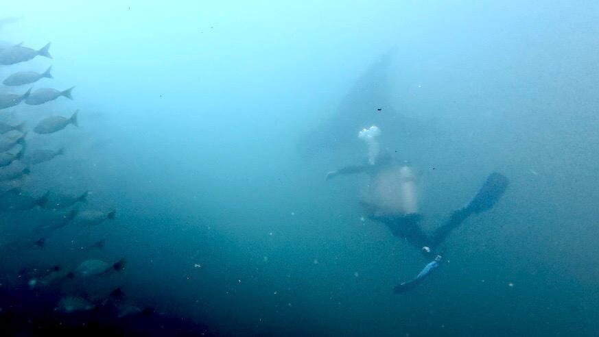 Caño Divers-德雷克湾必去景点