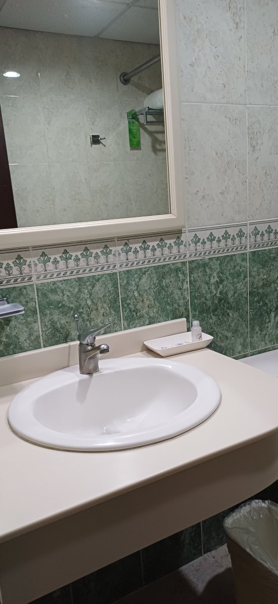 坎佩切广场酒店-浴室