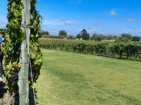 Pizzorno Family Estates-Canelones必去景点