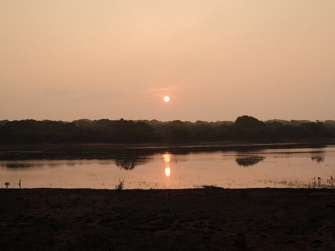 Roshan Safari-蒂瑟默哈拉默必去景点