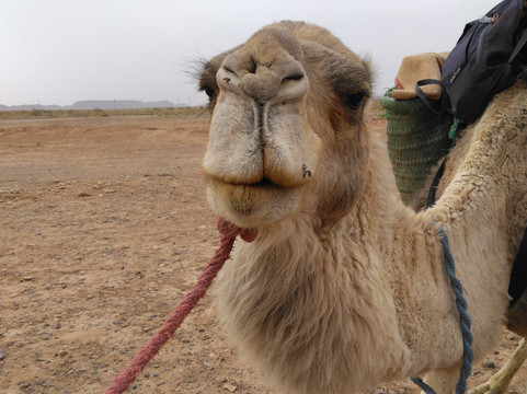 Escapades Berbères-马拉喀什必去景点