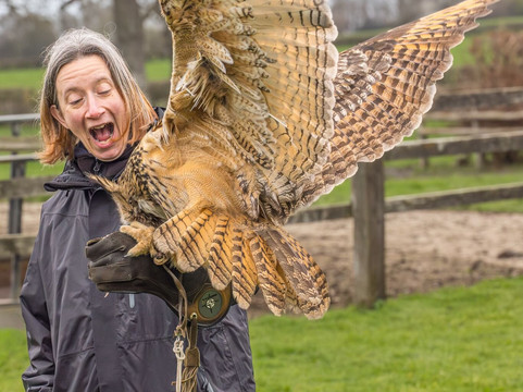 Walks With Hawks-切尔滕纳姆必去景点