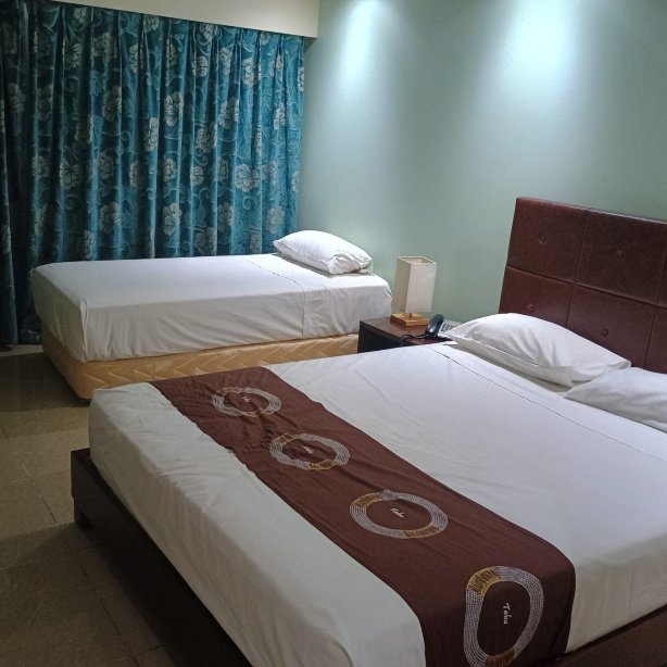 瞪羚国际大酒店-客卧