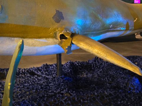 Jurassic Quest-Conroe必去景点