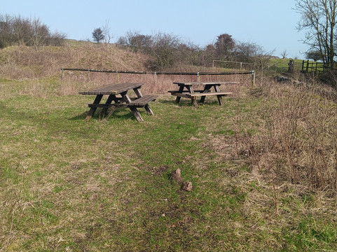Redhill quarry and picnic area-Middleton必去景点