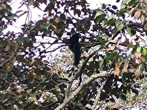 Munnar Info-慕那尔必去景点