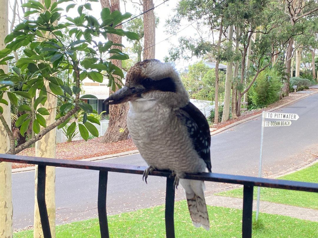 棕榈海滩住宿加早餐旅馆主图