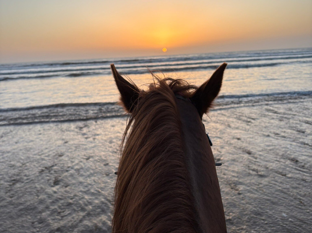 Cheval Essaouira-索维拉必去景点