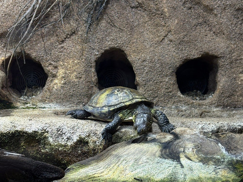 Klimahaus Bremerhaven-不来梅港必去景点