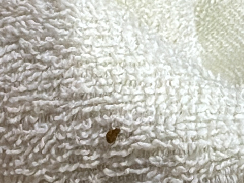 门户宫殿酒店主图