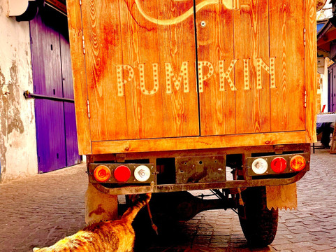 Medloc Maroc-马拉喀什必去景点