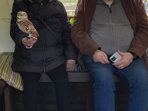 Battlefield Bird of Prey Centre-什鲁斯伯里必去景点