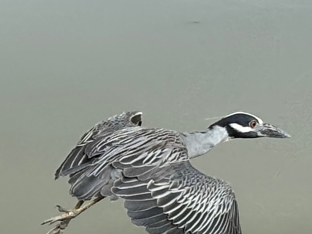 Grand Turk Lighthouse-Cockburn Town必去景点