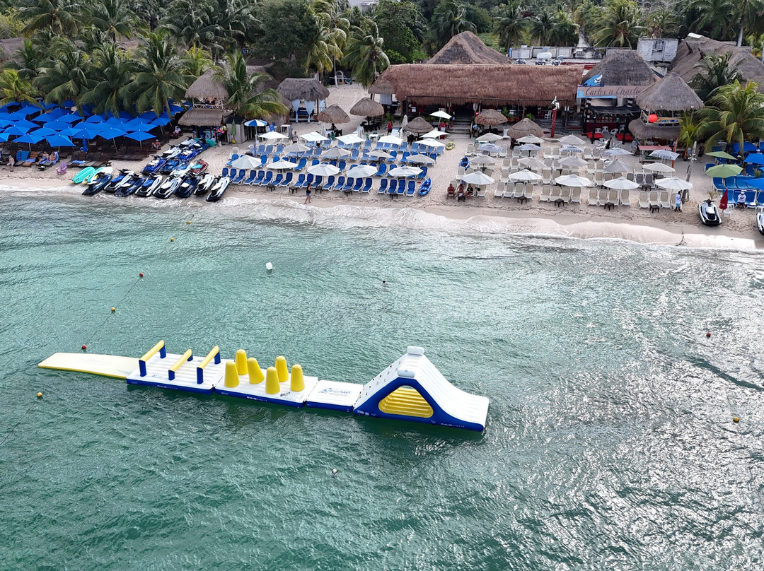 Carlos 'n Charlie's Beach Club Cozumel-考祖梅必去景点