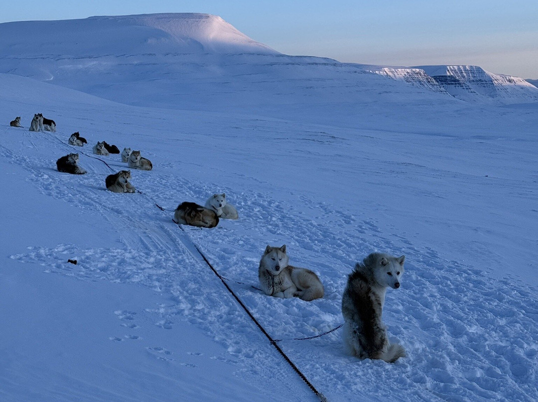 Disko Adventures-Qeqertarsuaq必去景点