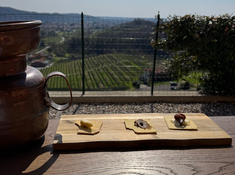 Dario Coos-Nimis必去景点