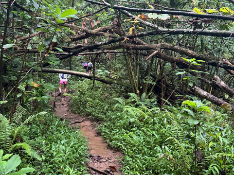 Afareaitu Waterfalls-Afareaitu必去景点