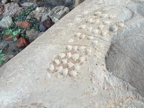 马蓬古布韦文化景观-Mapungubwe National Park必去景点
