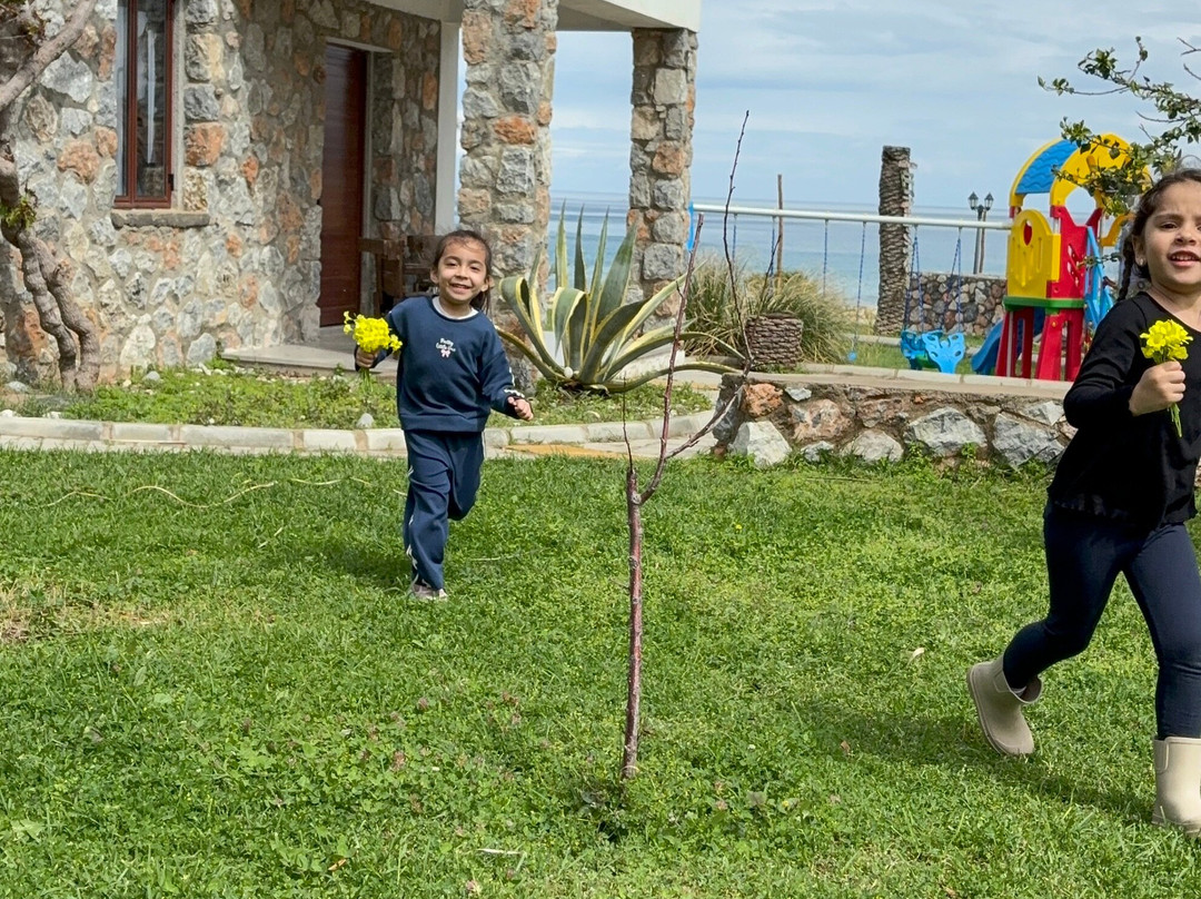 Ardıc Agacı Tatil Köyü