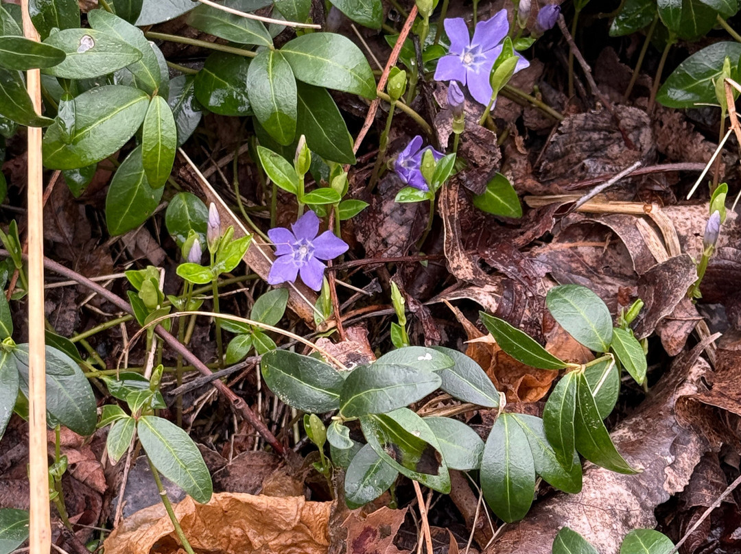 库雅荷加谷国家公园-Brecksville必去景点