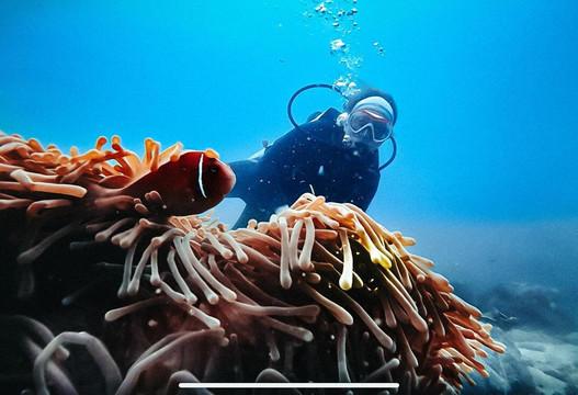 Euro Vietnam Diving-Viry-Chatillon必去景点