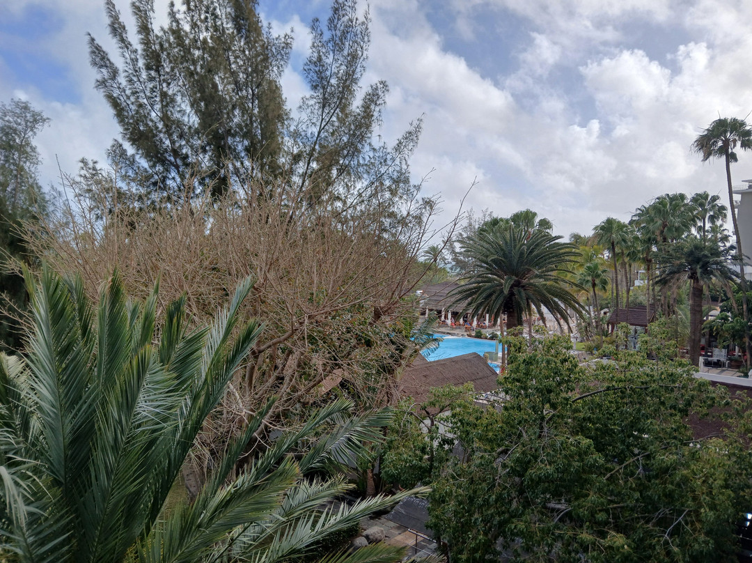 公牛加纳利海岸 SPA 酒店 - 限成人主图