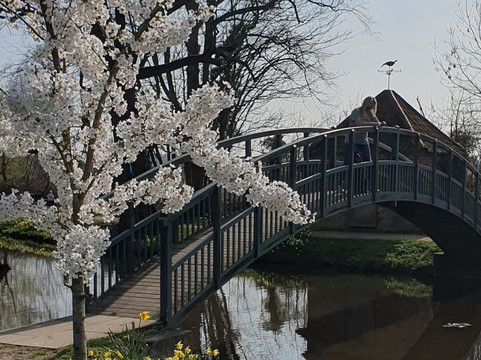 Doddington Hall & Gardens-Doddington必去景点
